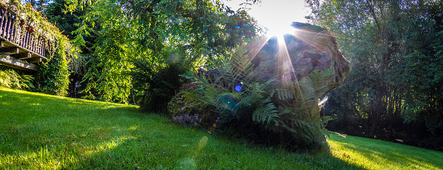 Urlaub mit Hund in Bayern